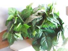 Fake plant wood for sale  Hibbing