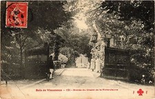 Old postcard bois d'occasion  Expédié en Belgium