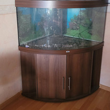 Eck aquarium gebraucht kaufen  Münster