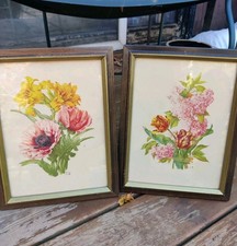 Vintage floral botanical for sale  Damascus