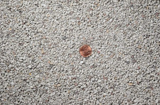 Gal. pumice seedling for sale  Denver