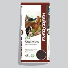 Evergreen stallatico litri usato  Valenzano