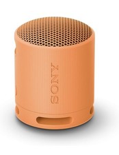 Sony srs xb100 usato  Palermo