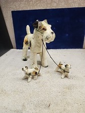 Wired hair fox for sale  San Diego