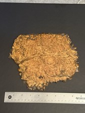 Lace maple burl for sale  Minneapolis