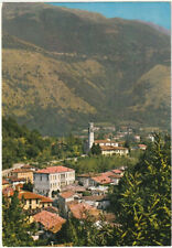 Polcenigo pordenone panorama usato  Italia