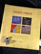 Ancient forests petrified for sale  League City