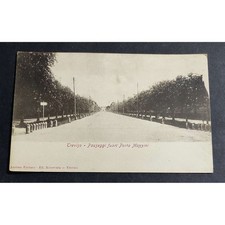 Cartolina treviso passeggi usato  Alessandria