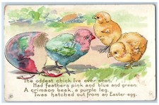 C1910 easter hatched for sale  Terre Haute