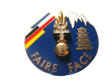 Regiment infanterie 110 d'occasion  Saint-Mamert-du-Gard