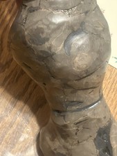 Rex fossil thighbone for sale  Clearfield