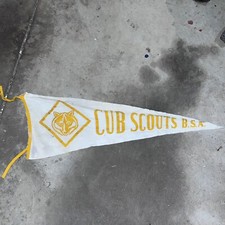 Vintage cub boy for sale  Mackinaw