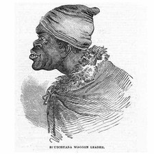 South africa beutchana for sale South africa beutchana for sale  GLASGOW