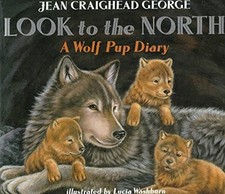Look north wolf for sale  Boston