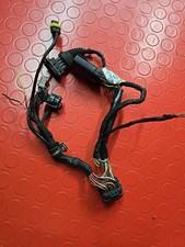 Cablaggio faro anteriore usato Cablaggio faro anteriore usato  Porto Cesareo