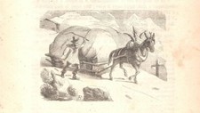 Passo dello stelvio usato  Lecco