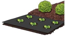 vlies unkraut gebraucht kaufen vlies unkraut gebraucht kaufen Darmstadt