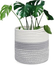 White grey 20cm for sale  GLASGOW