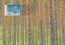 Cono de pino otoño salvar bosque protección del clima Finlandia como nuevo Maxi FDC 2002 segunda mano  Embacar hacia Mexico