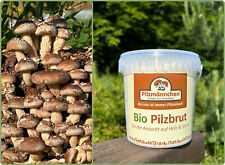 Pilz substrat shiitake gebraucht kaufen  Großdubrau