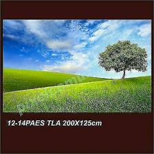 Quadro moderno tela usato  Italia