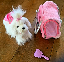 Pucci pups white for sale  CRAVEN ARMS