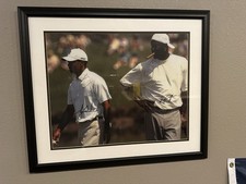 Michael jordan tiger for sale  Denton