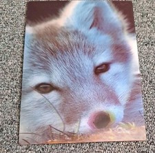 Tier postkarte süßer gebraucht kaufen  Hamburg
