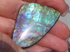 Natural canadian ammolite for sale  Elverson