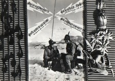 Alpini canti alpini usato  Viola