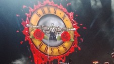 Guns roses golden gebraucht kaufen  Heidelberg