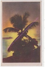 Cpa 972 martinique d'occasion  Expédié en Belgium