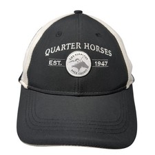 Quarter horses baseball for sale  Knightstown