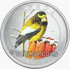 2012 evening grosbeak for sale  Saint Louis