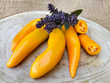 Bulgarian carrot chili gebraucht kaufen  Waigolshausen