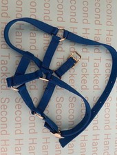 Royal blue foal for sale  HOUGHTON LE SPRING