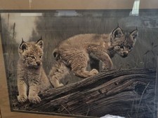 Double trouble large for sale  USA
