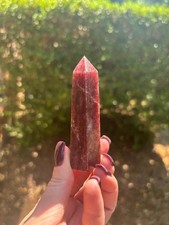 Deep red strawberry for sale  Irving