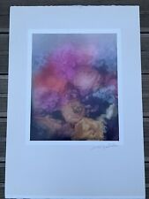 David hamilton bouquet d'occasion  Saint-Vincent-de-Tyrosse