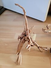 Fingerwurzel mittelgroß nr gebraucht kaufen  Berlin