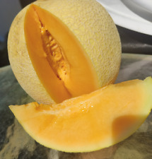 Sugar rush cantaloupe for sale  Spring Branch