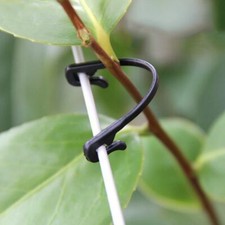 100x plastic vine for sale  HATFIELD