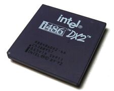 Cpu vintage 486 usato  Catanzaro