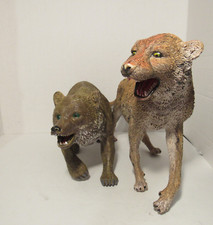 Wildlife bear leopard for sale  Valparaiso