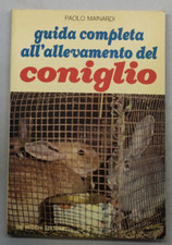 Guida completa all usato  Bologna