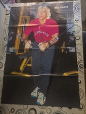 Wrestling poster wwf gebraucht kaufen  Weinsberg