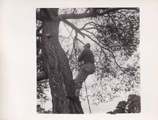 Original press photo for sale  ASHFORD