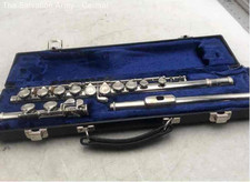 case w plated piccolo silver for sale  Detroit