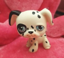 Petshop original chien d'occasion  Wingles