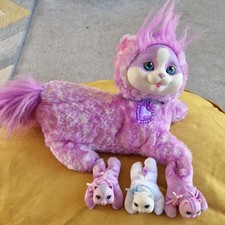 Kitty surprise lilac for sale  BEDALE